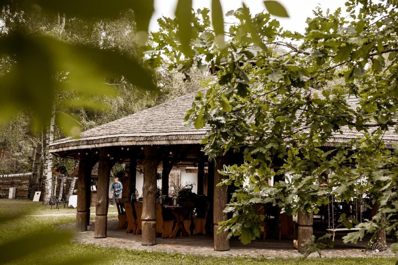 Maciejowka Borki 33 Villa Dış mekan fotoğraf