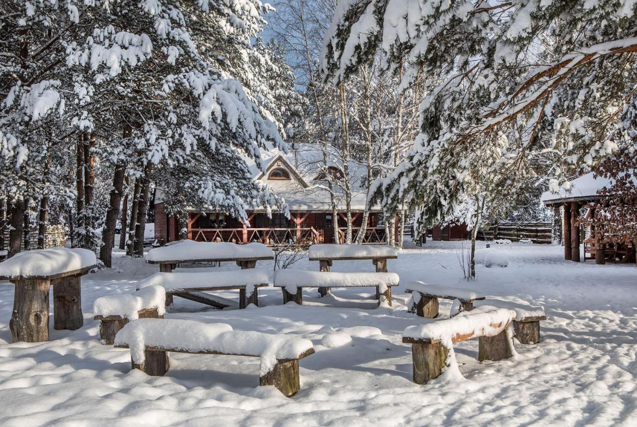 Maciejowka Borki 33 Villa Dış mekan fotoğraf